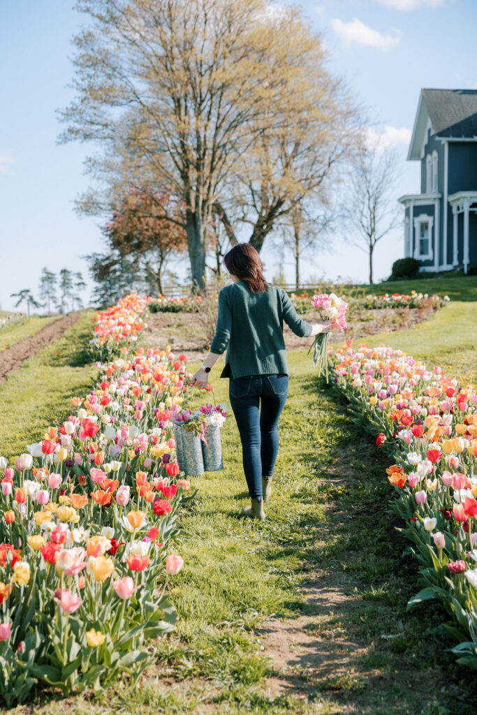 Woman walking in tulip garden